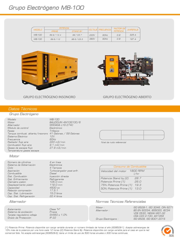 MB 100 | PDF | Inyección de combustible | Motor de combustión interna
