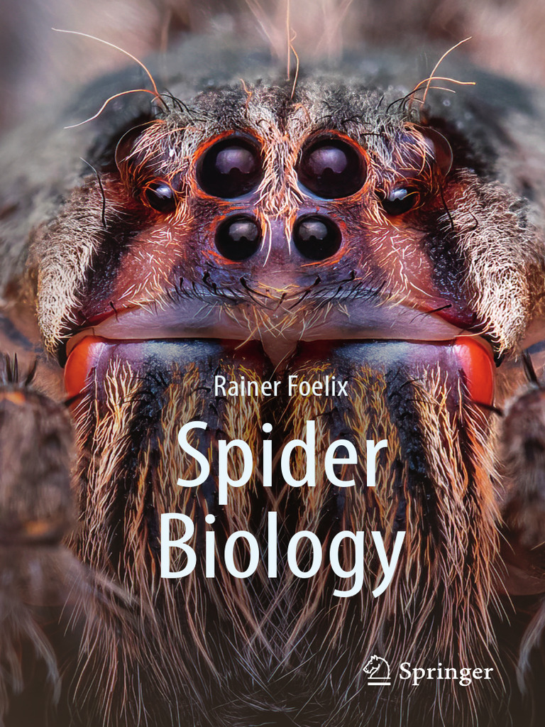 Comprehensive Guide to Spider Biology | PDF | Spider | Spider Web