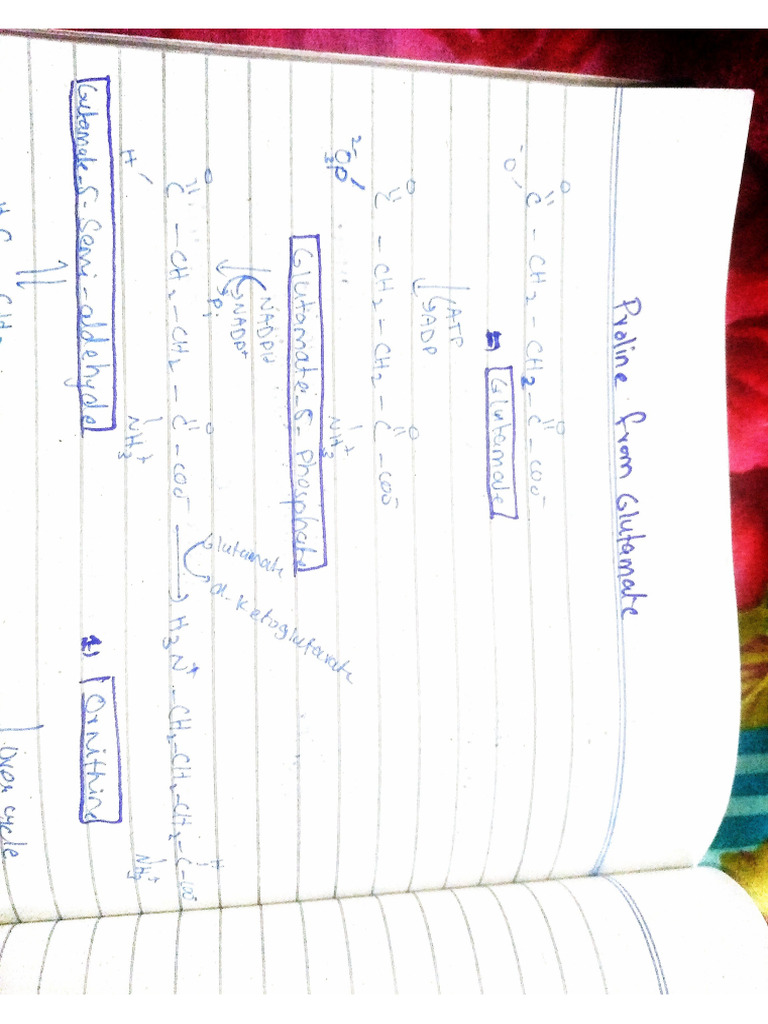 Synthesis of Amino Acids | PDF