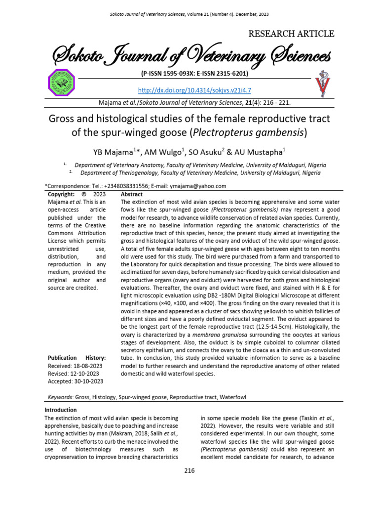 Reproductive Anatomy of Spur-Winged Goose | PDF | Ovary | Epithelium