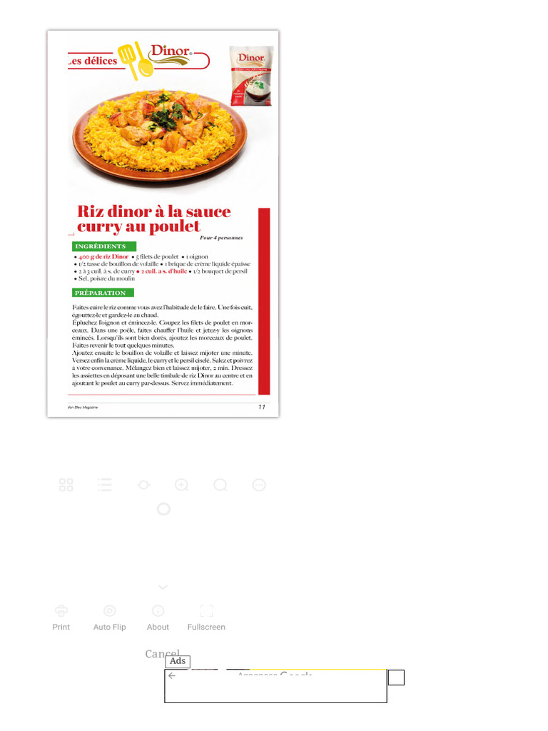 Riz Sauce Curry | PDF