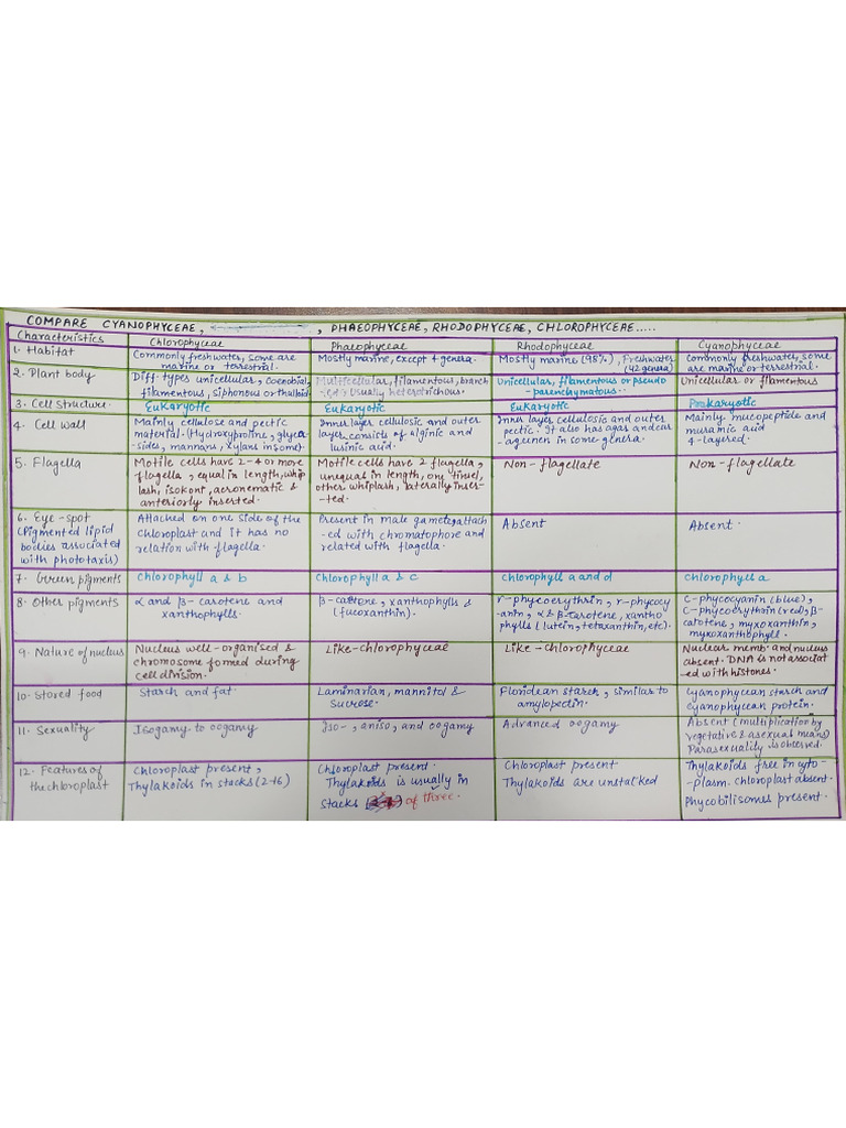 Unit 1 Notes | PDF