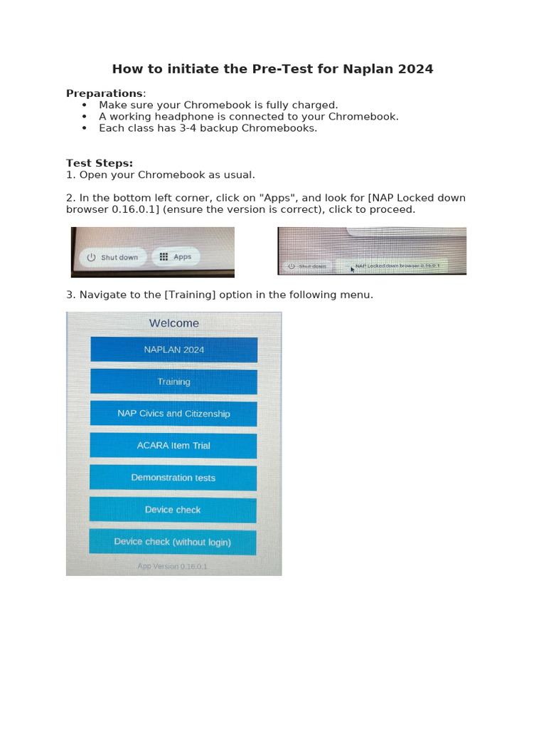 Naplan Test Steps 2024 | PDF