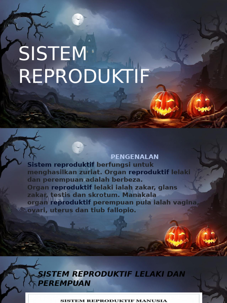 Sistem Reproduktif | PDF