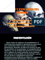 Origen Del Ser Humano