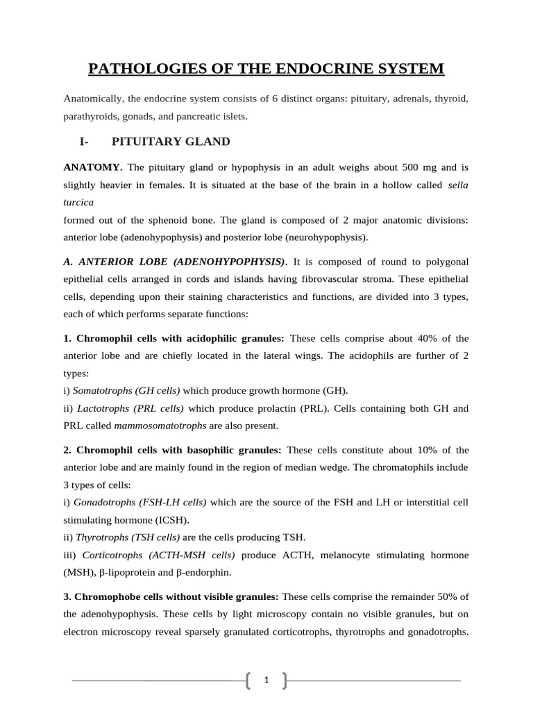 Endocrine System Pathologies Overview | PDF | Adrenal Gland ...
