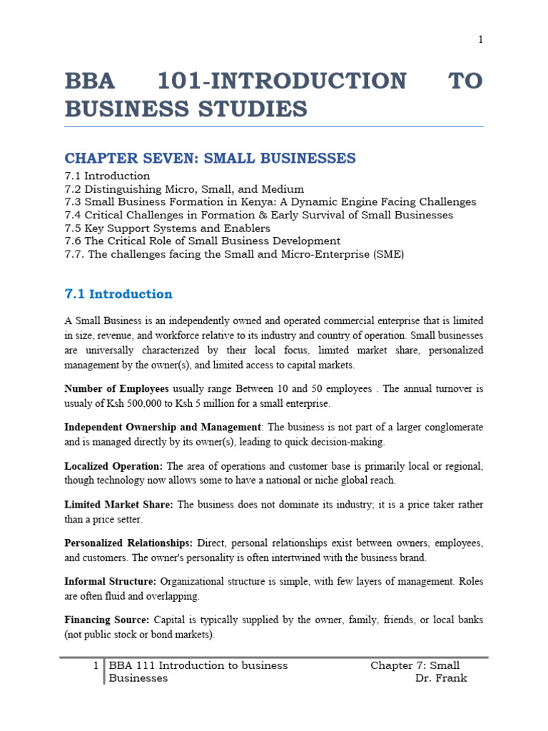 BBA 101 Chapter 7 Small Businesses | PDF | Taxes | Entrepreneurship