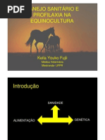 Aula Profilaxia e Sanidade