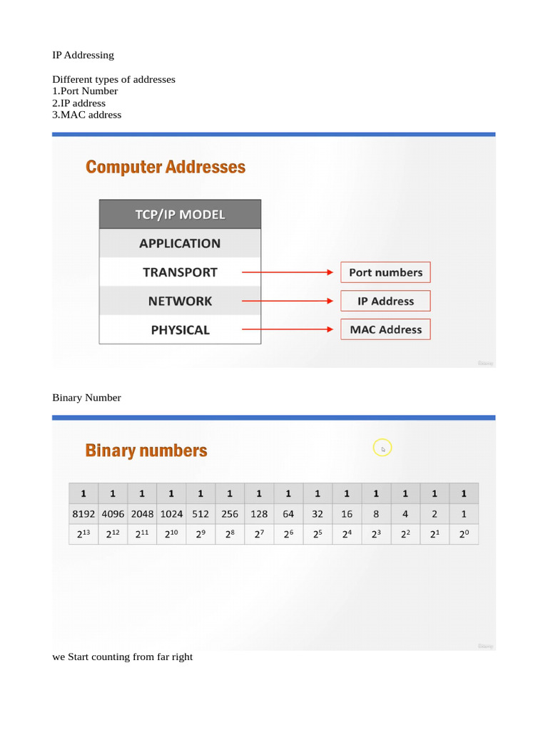Understanding IP Addressing Basics | PDF