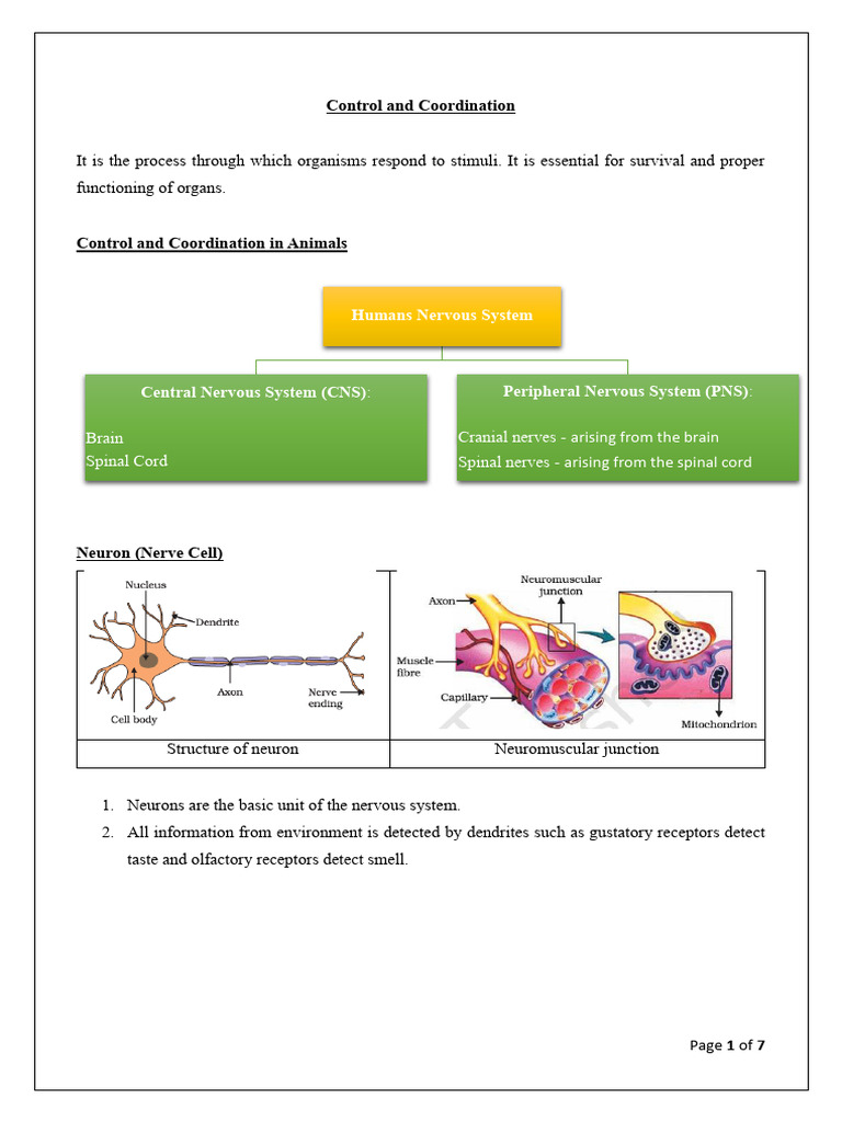 Control and Coordination in Organisms | PDF | Neuron | Nervous System