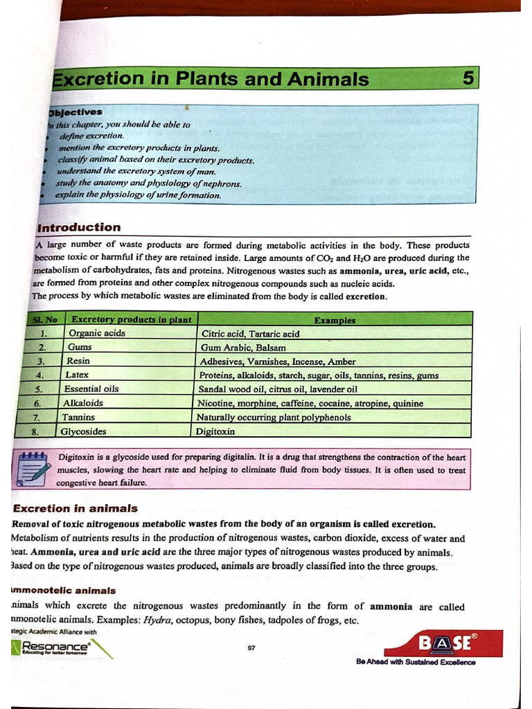 Base Excretion Chapter | PDF