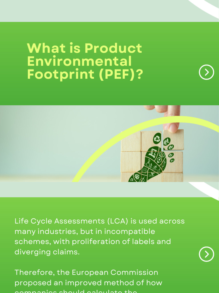 Foot Print | PDF