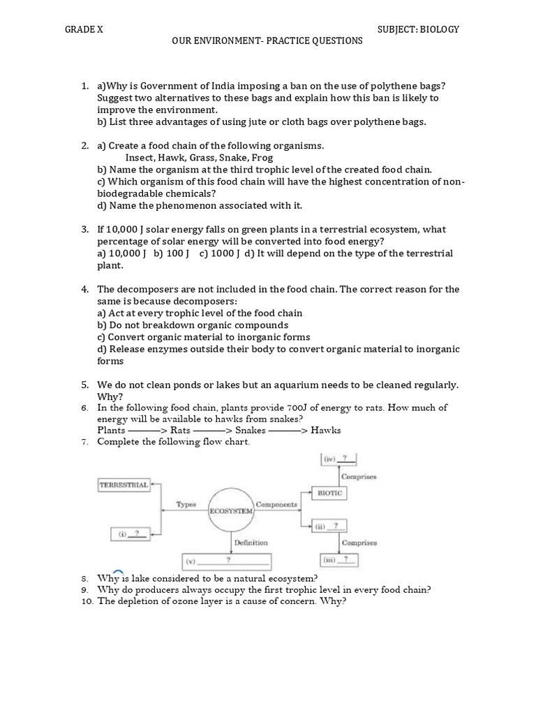 Our Environment - Practice Questions | PDF