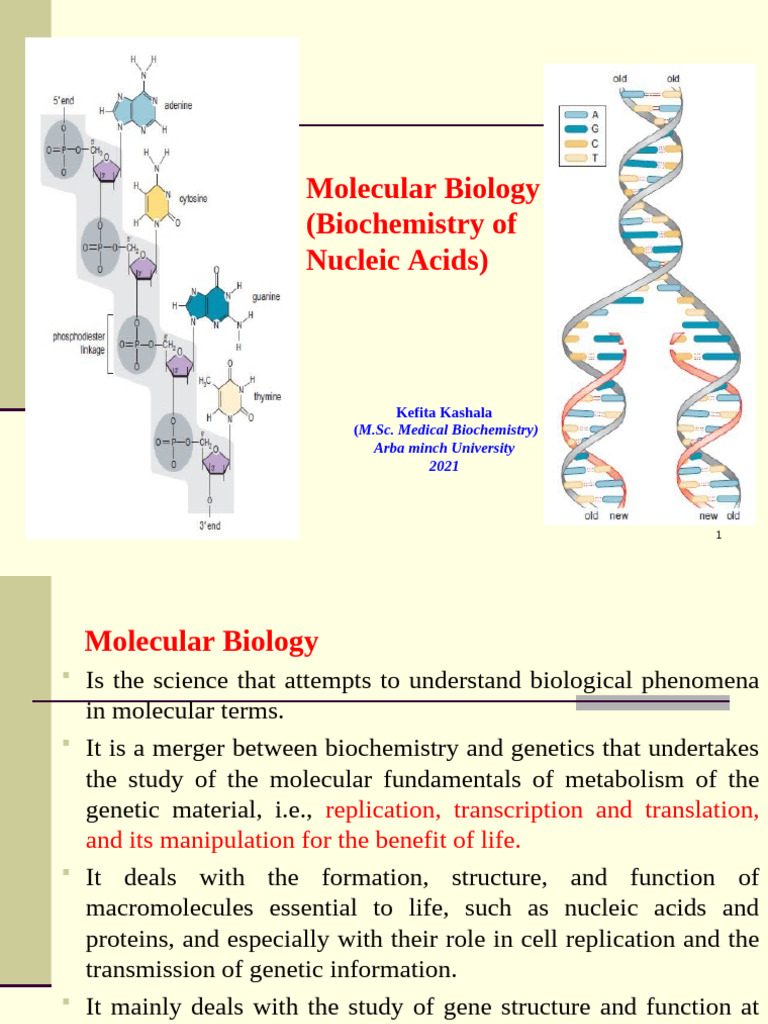 Molecular Biology of Nucleic Acids | PDF