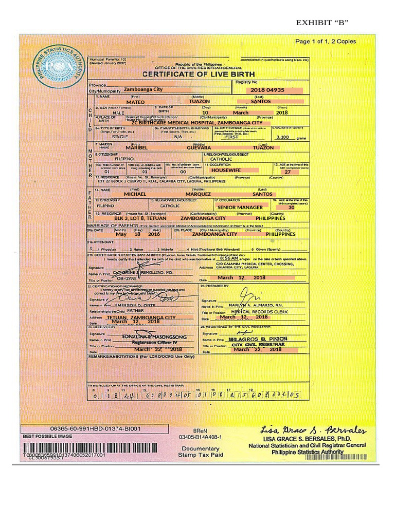 Zamboanga City Birth Record 2018 | PDF