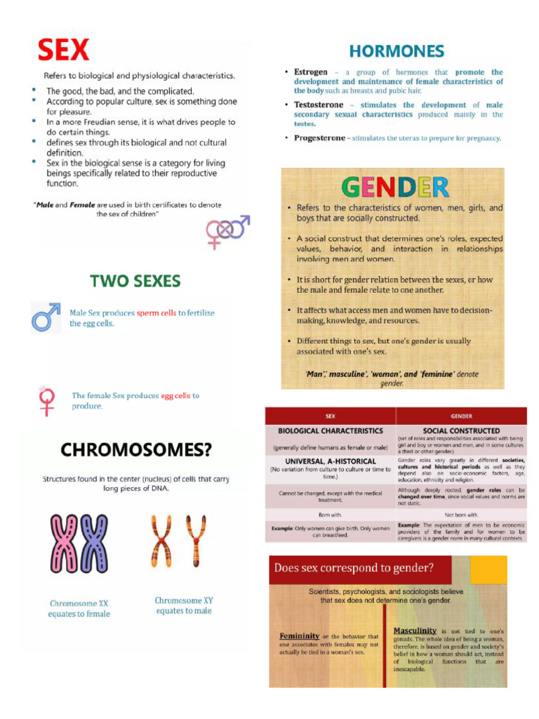 GENSOC | PDF