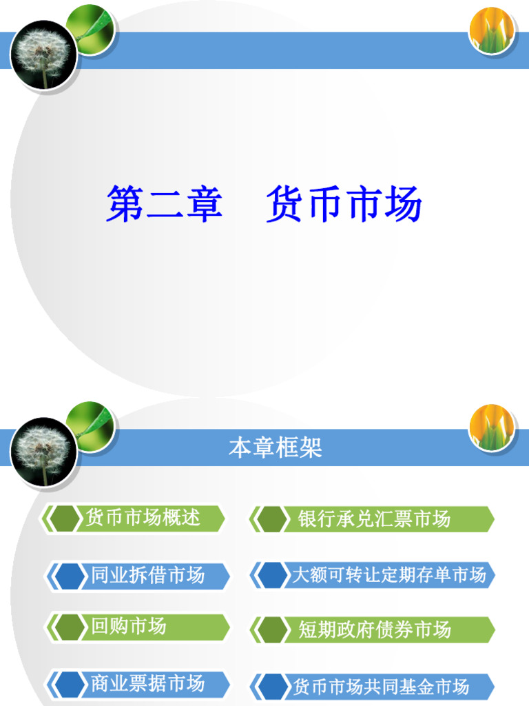 第二章货币市场| PDF