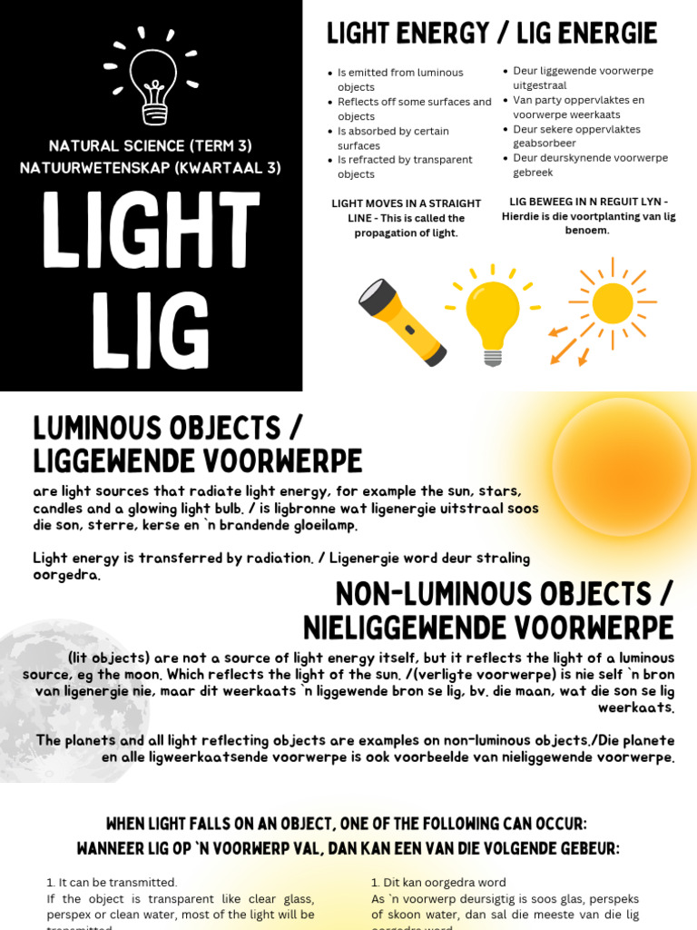 Ns Term 3 (Light Notes) PDF | PDF