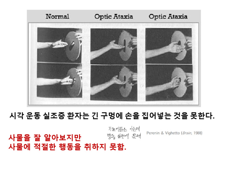 BBBVC | PDF