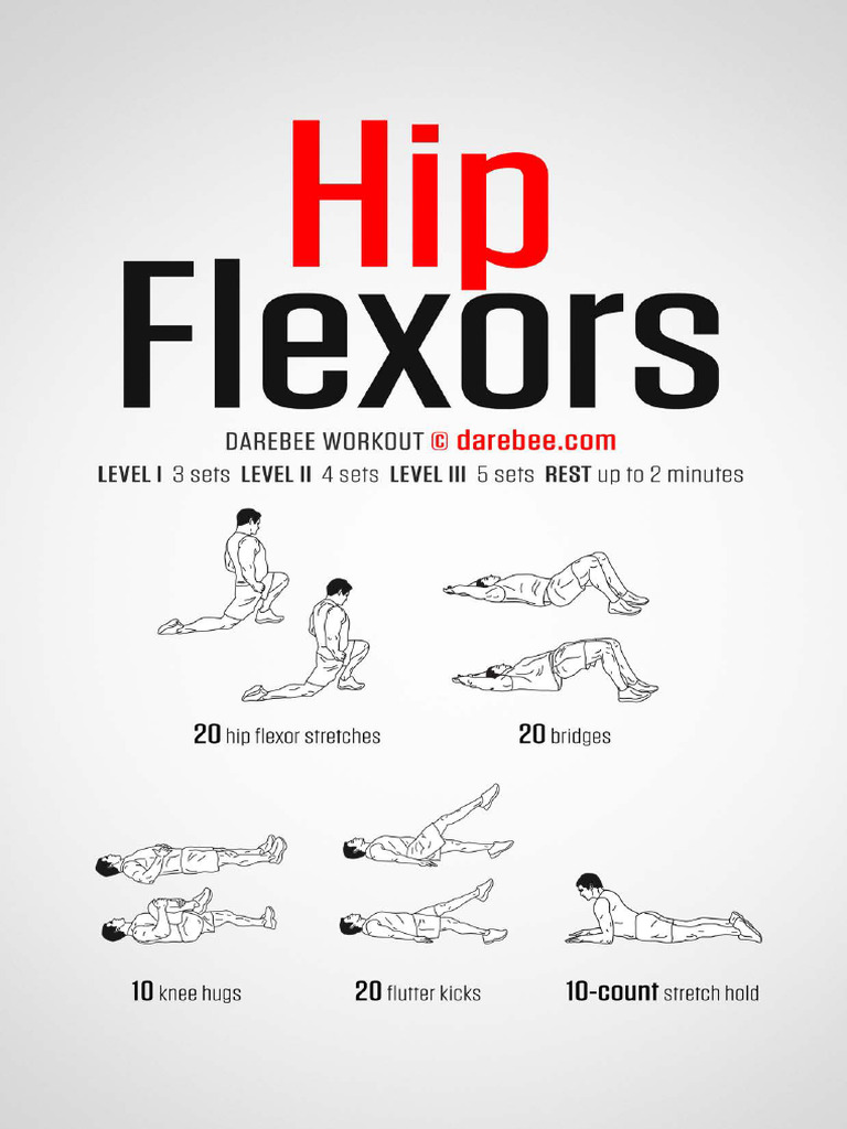 Hip Flexors Workout | PDF