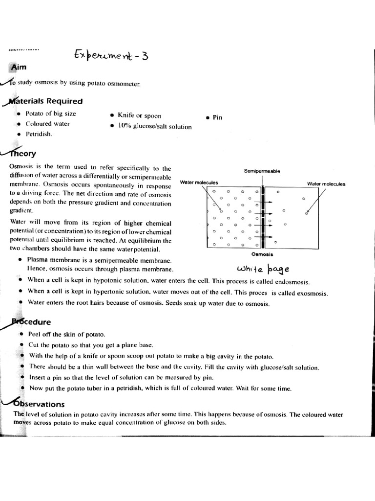 Exp 3,4,5 | PDF