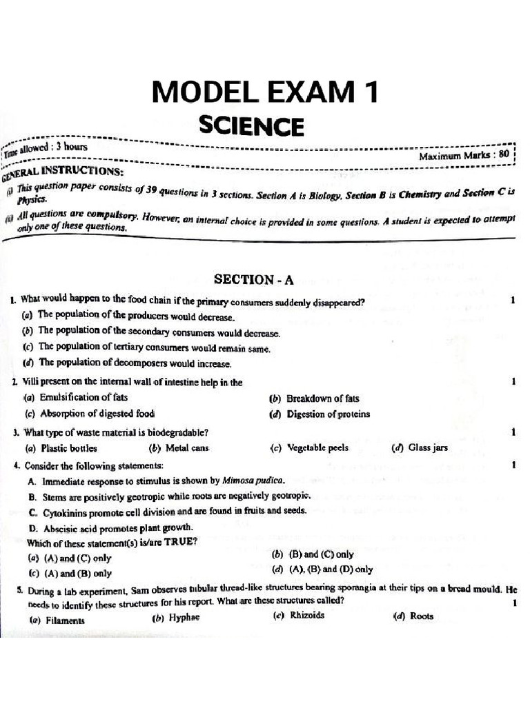 10 Model Exam 1 | PDF