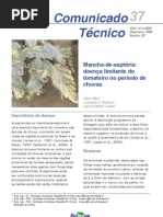 Queima Da Saia Do Tomateiro