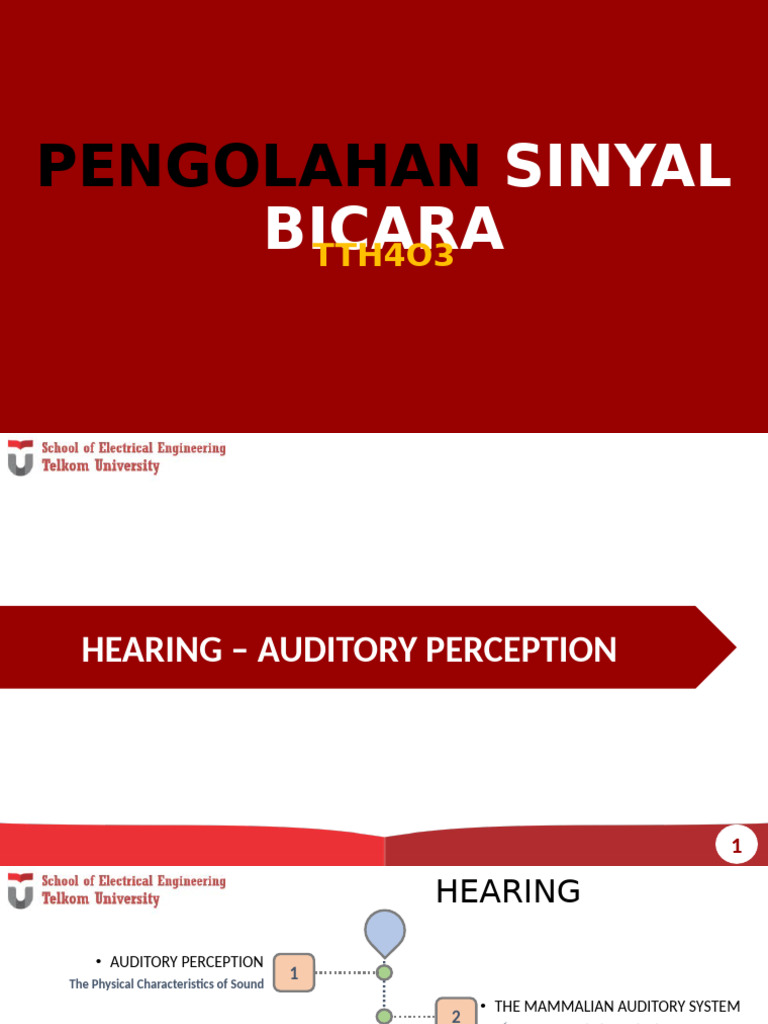 Understanding Auditory Perception and Psychoacoustics | PDF | Auditory ...