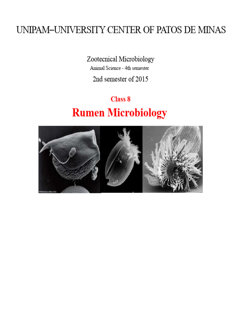 Rumen Microbiology in Ruminants | PDF | Ruminant | Biology