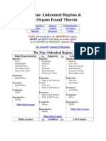 The Nine Abdominal Regions Organs