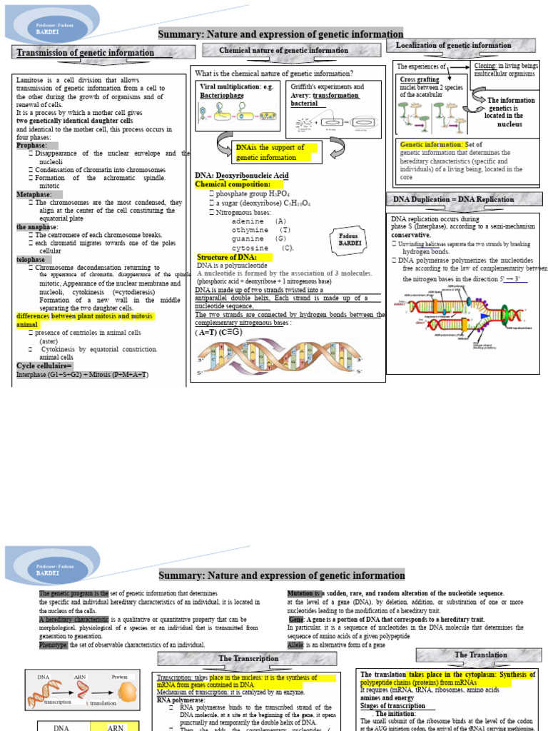 Genetic Information: Nature & Expression | PDF | Translation (Biology ...