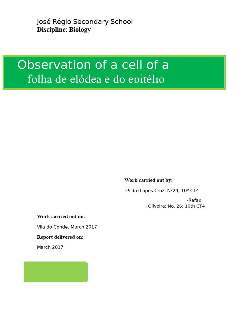 Cell Observation Report: Elodea & Epithelium | PDF | Cell (Biology ...