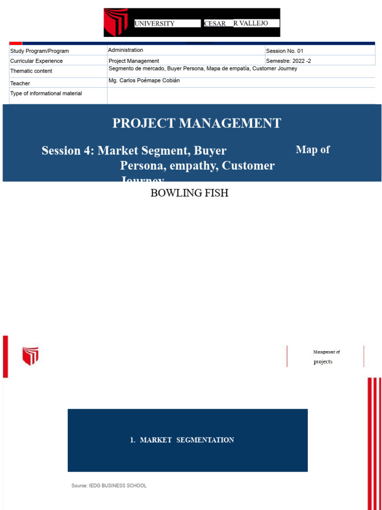 Project Management: Market Analysis Guide | PDF | Marketing | Business