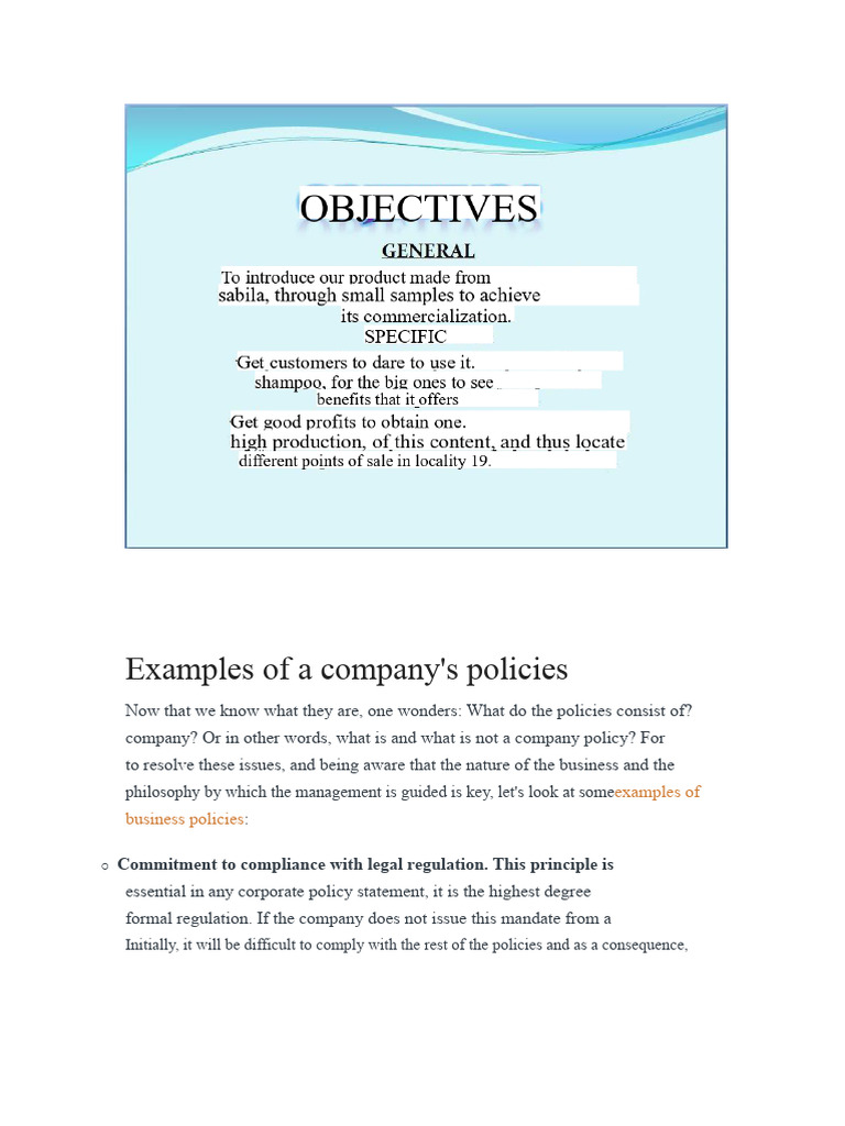 Examples of Company Policies | PDF | Policy | Business