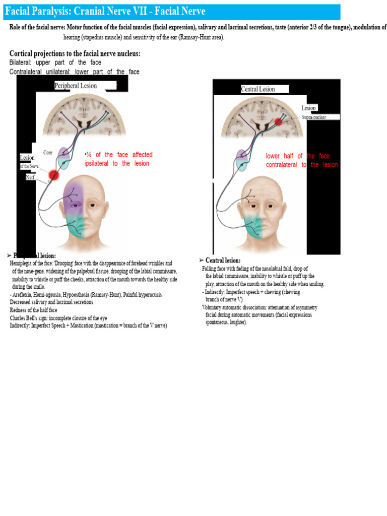 Facial Paralysis and Facial Nerve | PDF