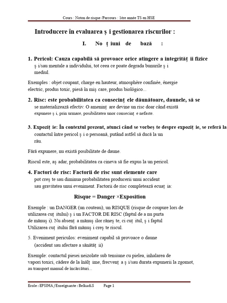 Curs Noțiunea de Riscuri | PDF
