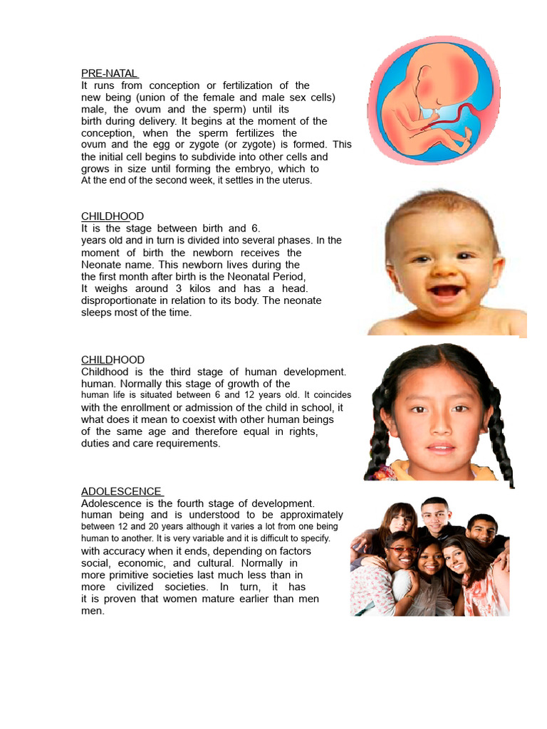 Stages of Human Development Explained | PDF | Fertilisation | Prenatal ...