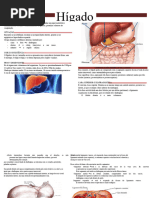 Anatomia do Sistema Venoso Ázigo | PDF | Fígado | Abdômen