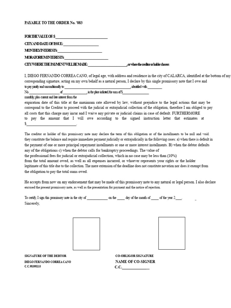 Blank Promissory Note With Instruction Letter | PDF | Promissory Note ...