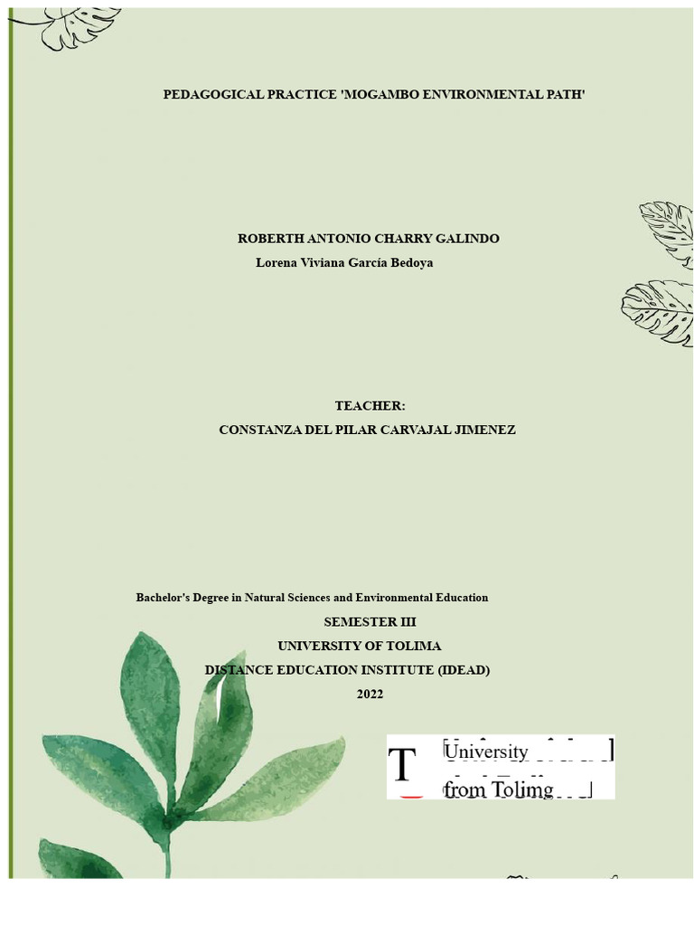 Mogambo Environmental Path Overview | PDF | Leaf | Trees