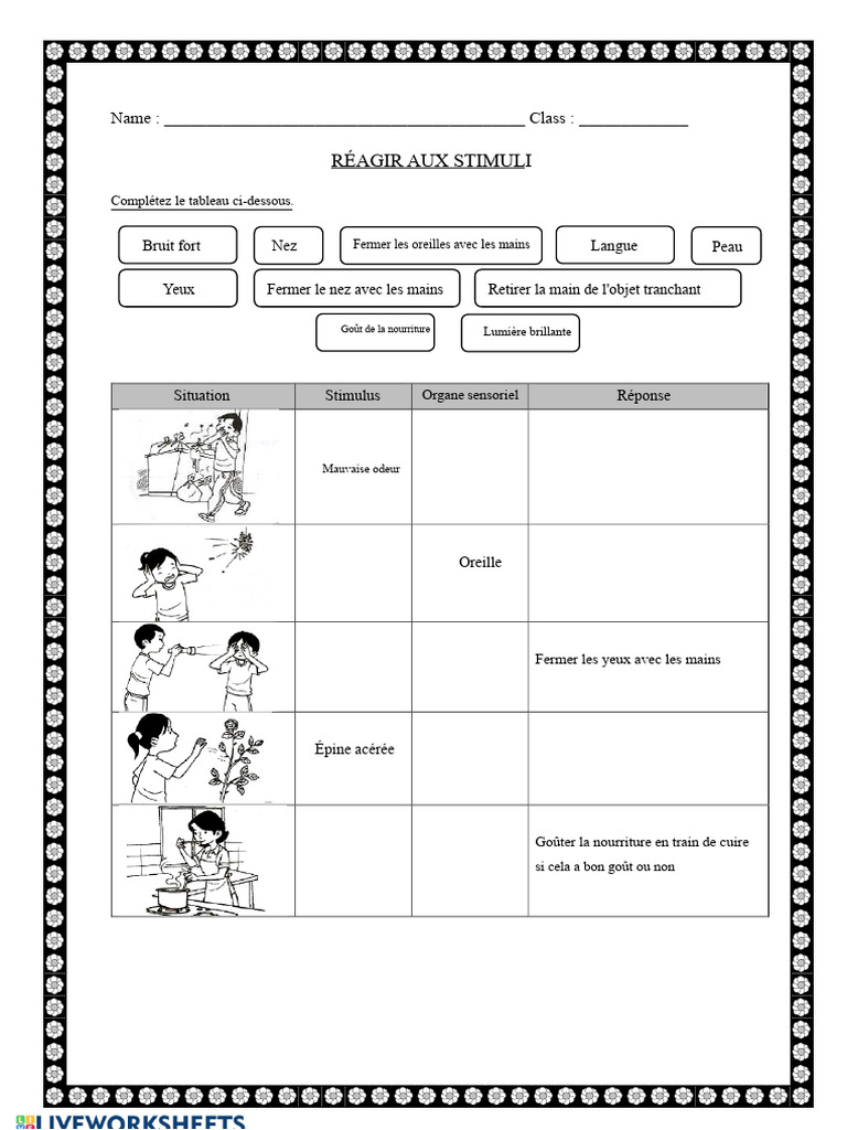 Réactions aux Stimuli Sensoriels | PDF