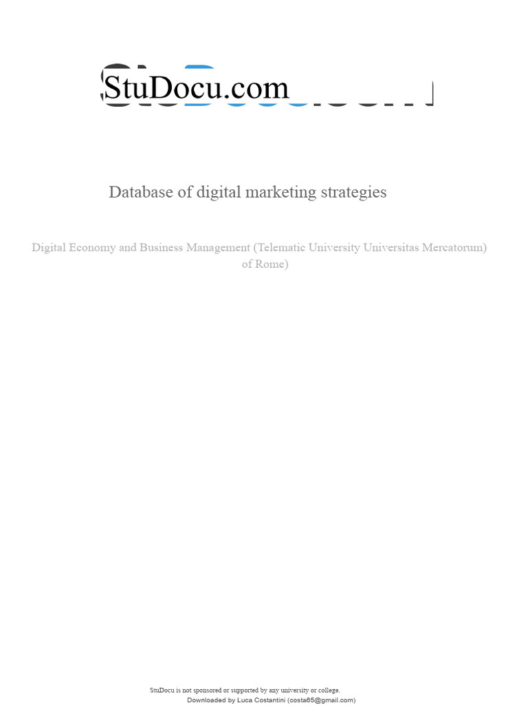 Digital Marketing Strategies Database | PDF | Marketing | Brand