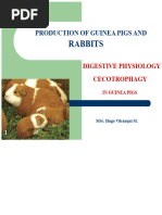 Gallery Detail: Guinea Pig Digestive System Overview Pdf Digestion
