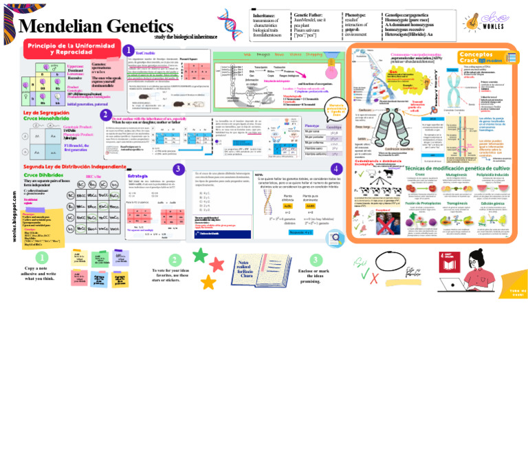 Mendelian Genetics and Inheritance Explained | PDF | Dominance ...