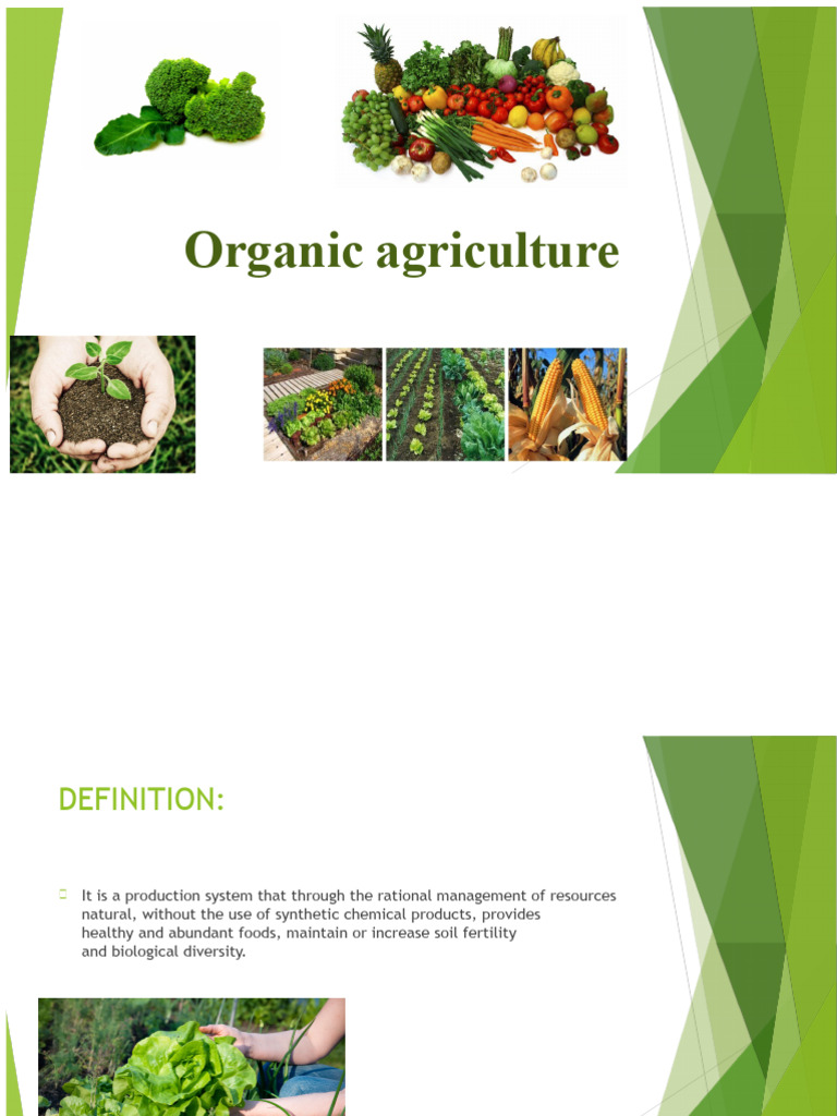 Organic Agriculture Exhibition | PDF | Organic Farming | Compost
