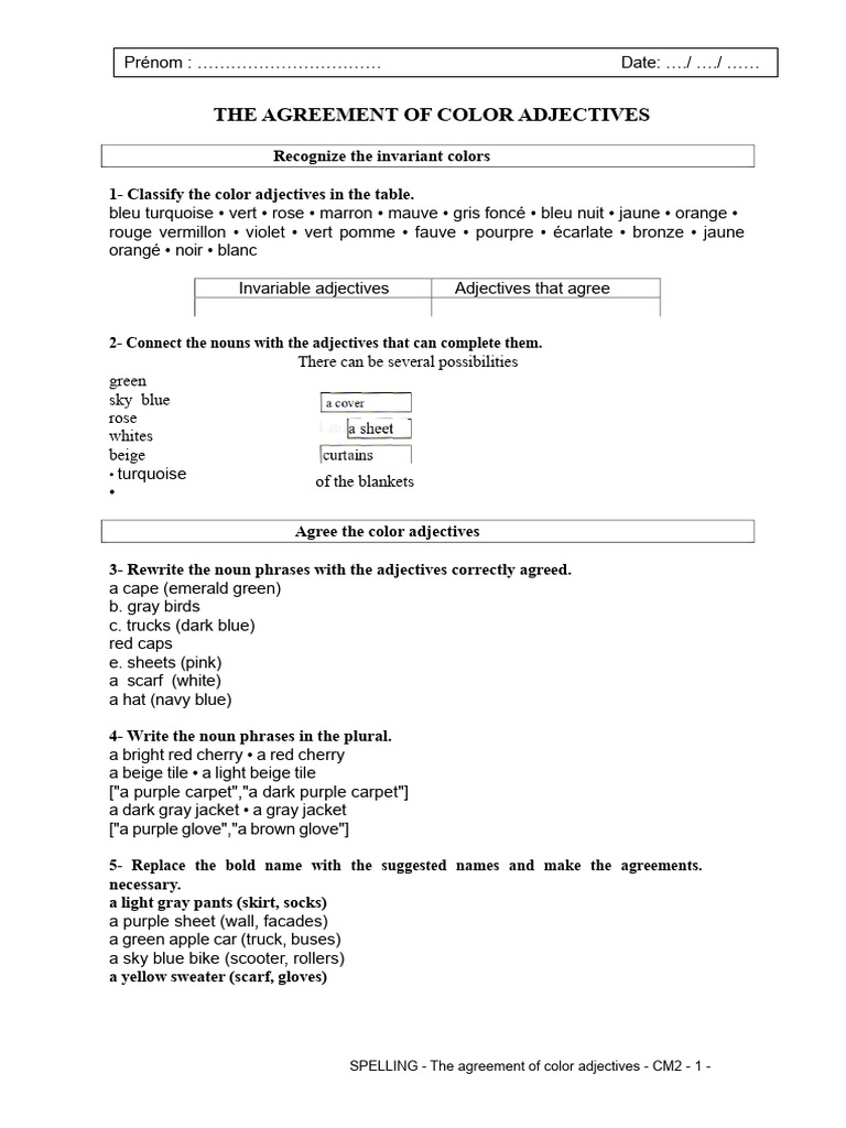 Color Adjective Agreement Guide | PDF | Linguistic Morphology