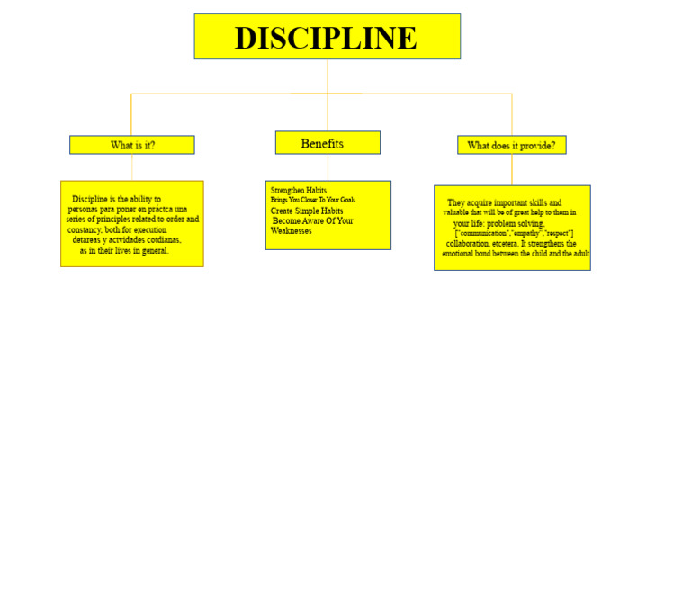Conceptual Map of Discipline | PDF