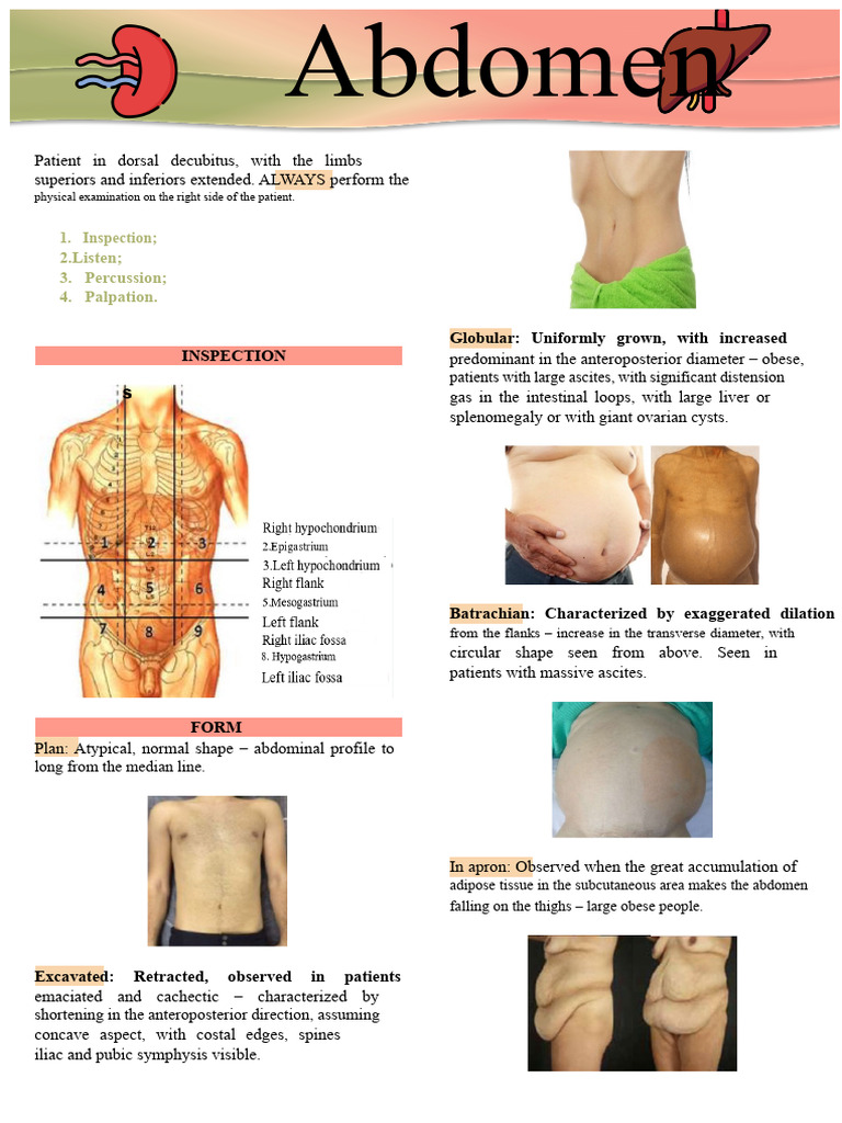 Abdominal Examination Techniques and Findings | PDF | Abdomen | Cirrhosis