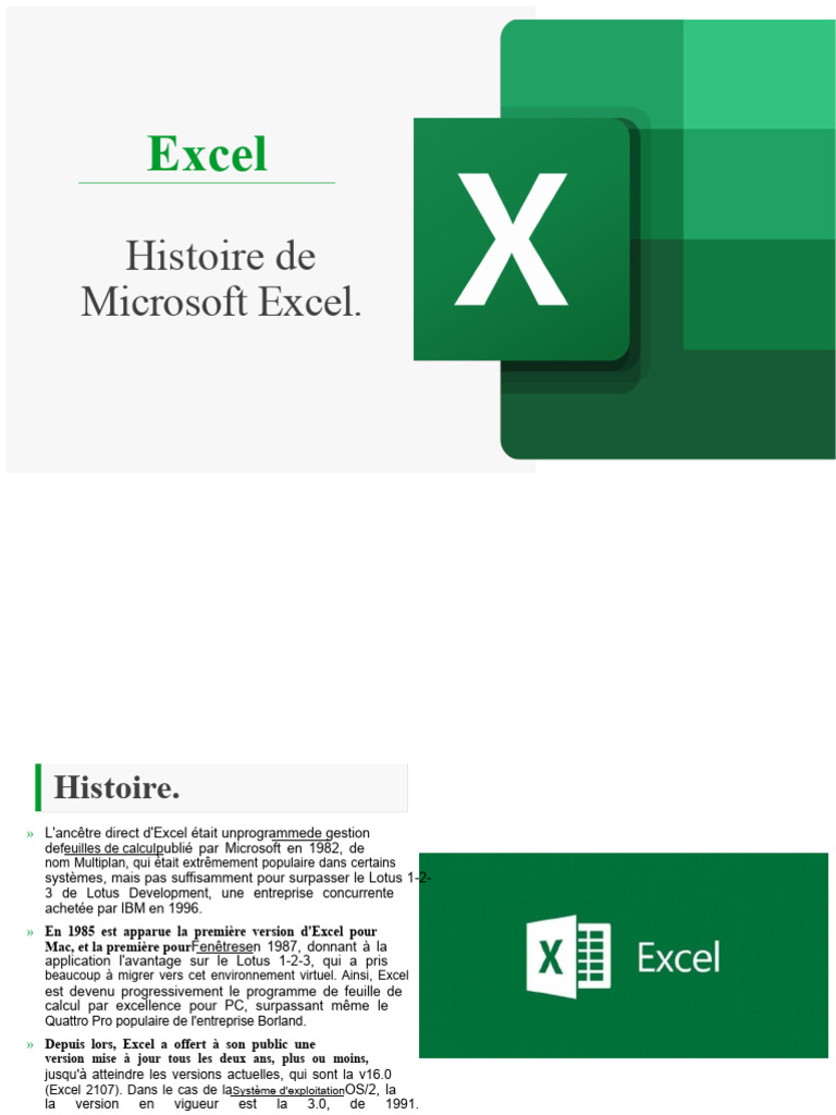 Histoire et Évolution de Microsoft Excel | PDF | Microsoft Excel ...