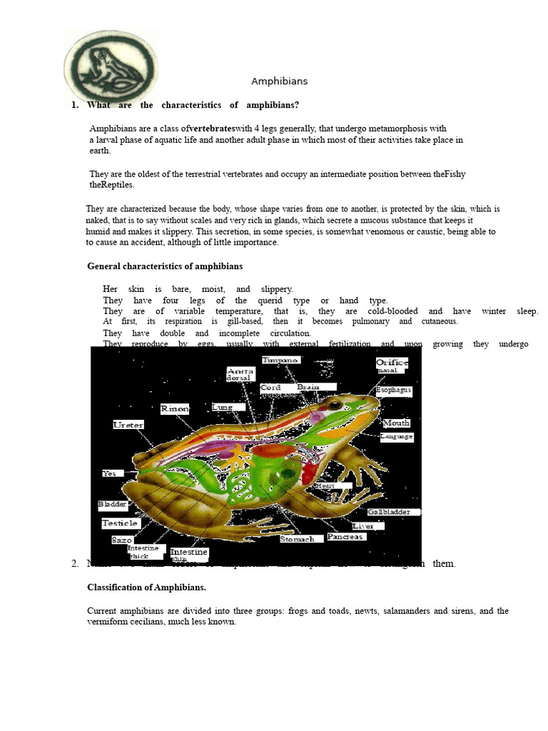 AMPHIBIANS - Developed Specialty | PDF | Amphibian | Frog